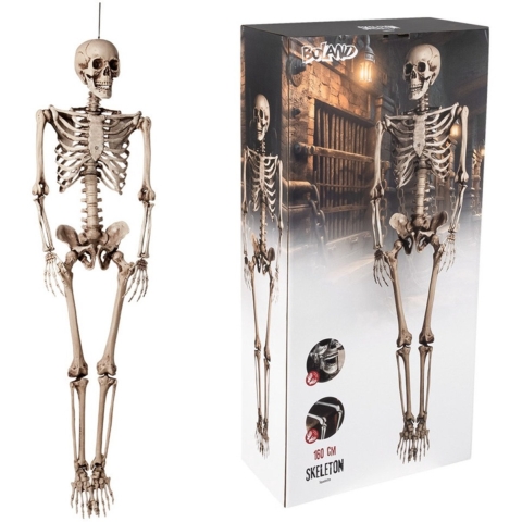 Mensen skelet deco pop - 158 cm - lang - Halloween en horror thema - versiering - geraamte -