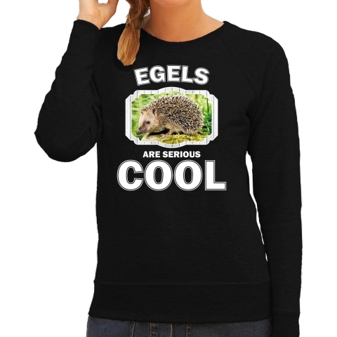 Dieren egel sweater zwart dames - egels are cool trui M -