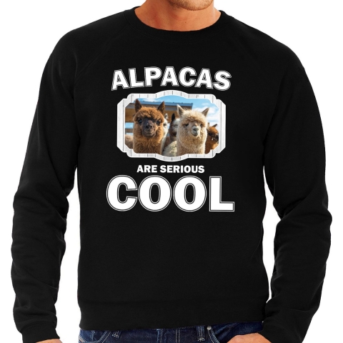 Dieren alpaca sweater zwart heren - alpacas are cool trui S -