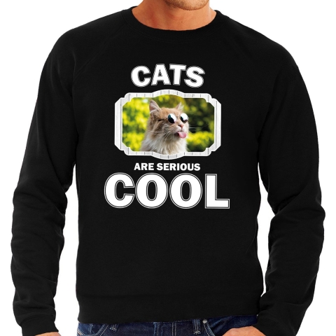 Dieren gekke poes sweater zwart heren - cats are cool trui S -