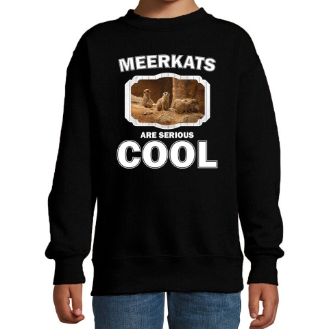 Dieren stokstaartje sweater zwart kinderen - meerkats are cool trui jongens en meisjes 9-11 jaar (134/146) -