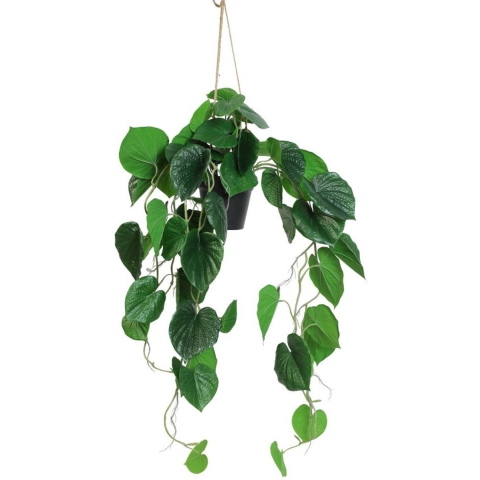 Kunstplant steker/hang Piper betle - Countryfield