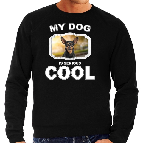 Dwergpinscher honden sweater / trui my dog is serious cool zwart voor heren 2XL -