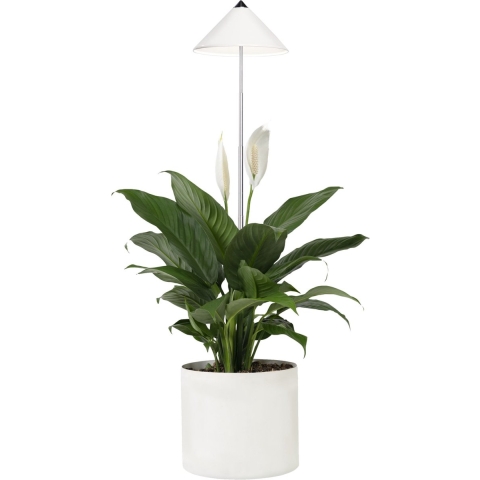 Venso LED-plantenlamp SUNLiTE 230 V LED vast ingebouwd 7 W Neutraalwit 1 stuk(s)