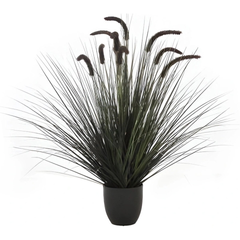 Kamgras in pot 90 cm zwart - Hortus