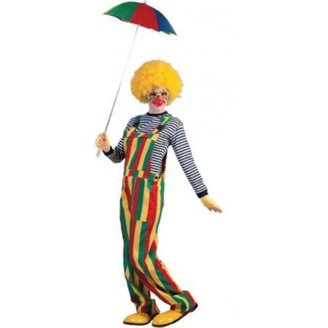 Clown verkleed kostuum tuinbroek - gestreept - volwassenen - Carnaval verkleedkleding 48-50 (S/M) -