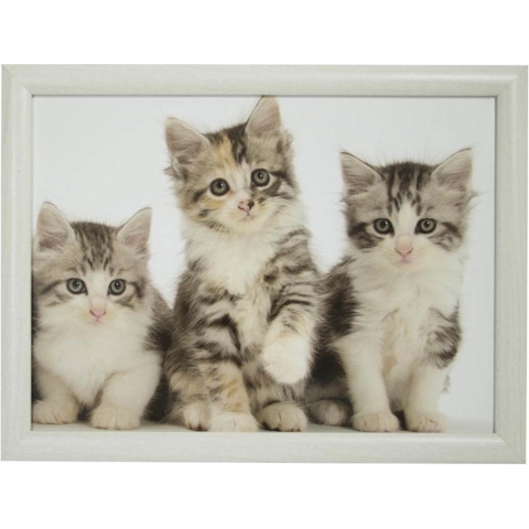 Schoottafel - katten/poezen print - 43 x 32 cm - laptray - schootkussen - schootblad -