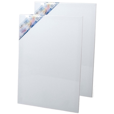 2x stuks canvas schildersdoeken 60 x 40 cm voor hobby verven/schilderen -