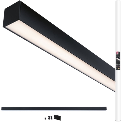 Paulmann 98169 Linion LED-plafondlamp LED 25.5 W Zwart