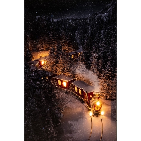 LED CANVAS 38X58CM TREIN 5LED 55 FIBER - 2AA - Annas collection