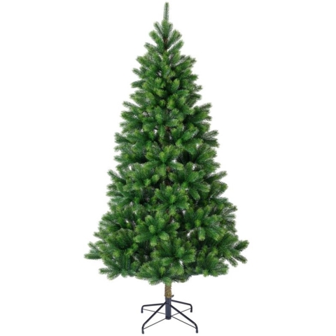 Kenmore fir II - Everlands