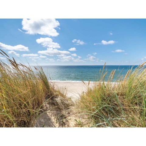 Strand duinen 70x50cm Tuinschilderij - Customize it