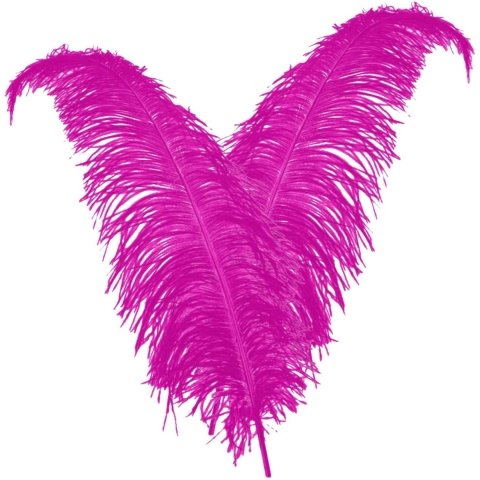 Carnaval verkleed veer/struisvogelveren - 2x - roze - 50 cm - Carnaval - Sierveren/charleston veren -