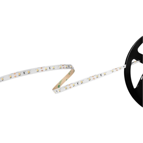 Barthelme Basic 60 51541134 LED-strip Met open kabeleinde 12 V 5 m Koudwit 1 stuk(s)