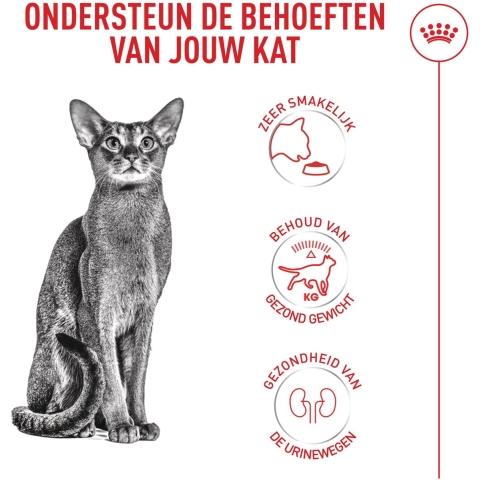 Royal Canin Fussy Exigent kattenvoer 10 kg