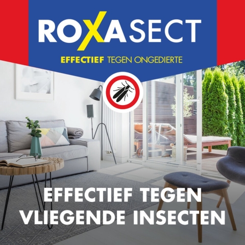3x Roxasect Spuitbus Vliegende Insecten 400 ml