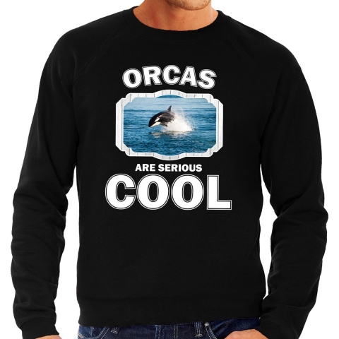Dieren orka sweater zwart heren - orcas are cool trui S -