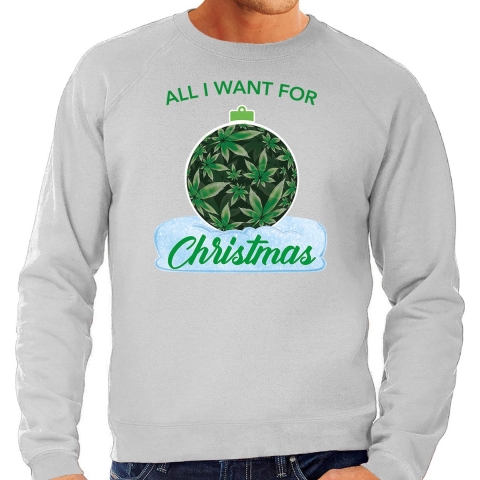 Wiet Kerstbal sweater / foute kersttrui All i want for Christmas grijs voor heren 2XL -