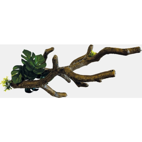 Branch s Repto - Repto