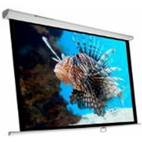 Projectiescherm Phoenix PH-240
