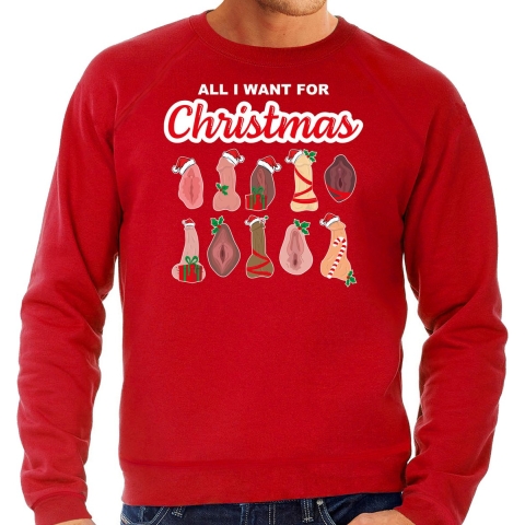 Foute kersttrui/sweater heren - All I want for Christmas - piemel/vagina - rood 2XL -