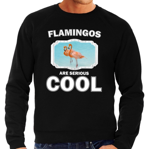 Dieren flamingo sweater zwart heren - flamingos are cool trui S -