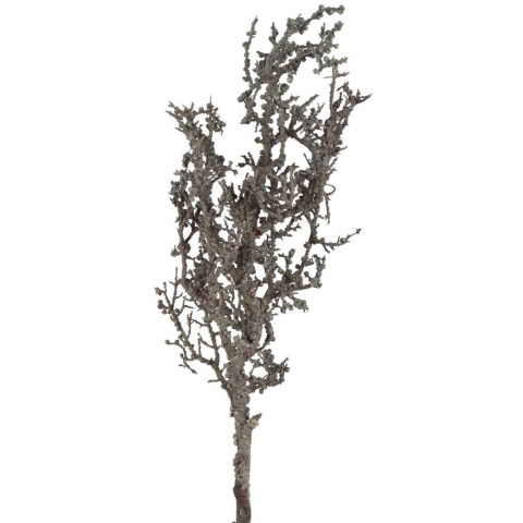 Kunsttak lichenes zwart Countryfield - Countryfield