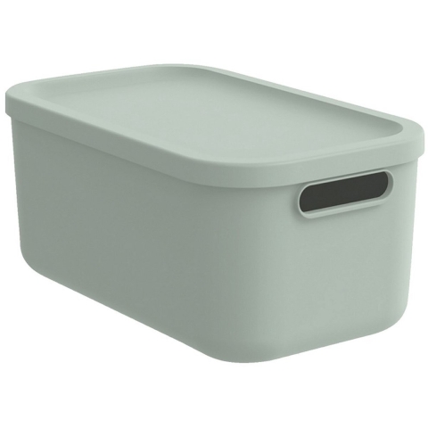 Rotho KAYO Multi Box 39.5×23.5×17.7 cm 12L Sage Green