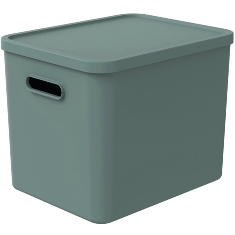Rotho KAYO Multi Box 37x29x29.5 cm 27L Sage Green