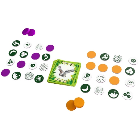 Dieren van de wereld Bingo (8+)