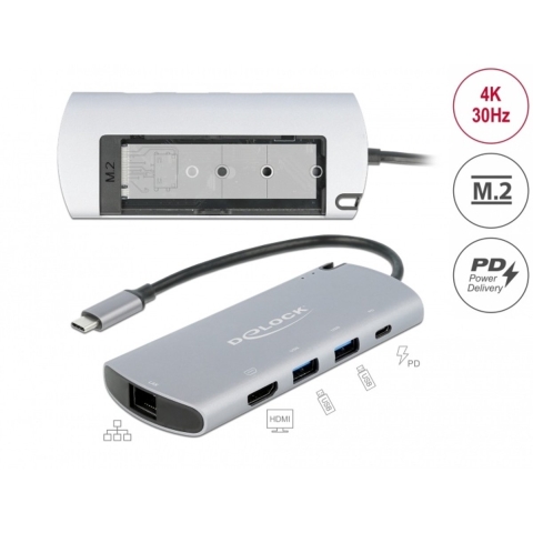 DeLOCK USB Type-C Docking Station met M.2 Slot dockingstation