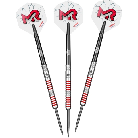 Mladen Radosavljevic 90% 21 gram - Dartpijlen