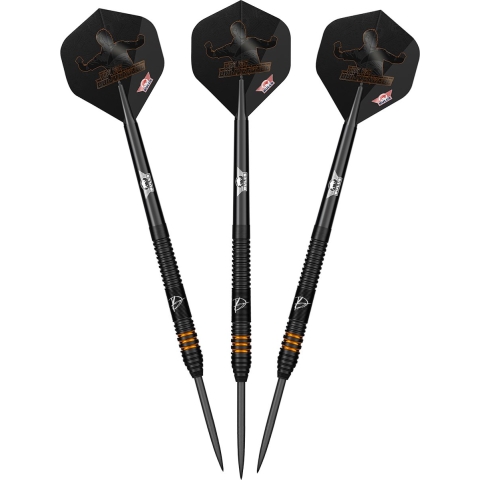 Dirk van Duijvenbode E2 90% - Dartpijlen