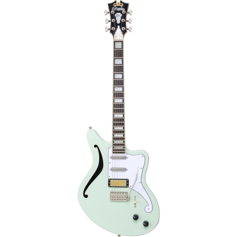 D'angelico Excel Giacomo Turra Bedford SH Tremolo