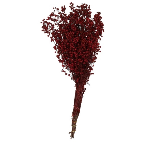 Gedroogde Pepperberries Wijn Red