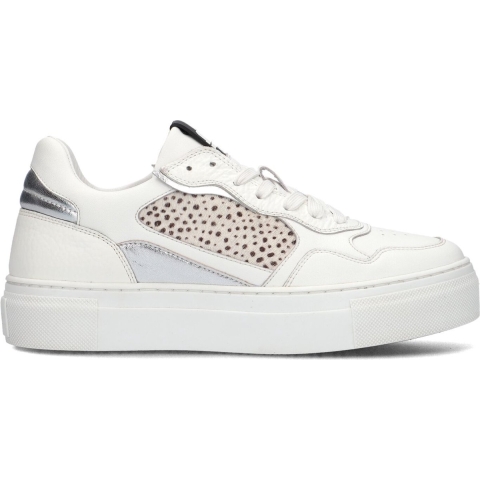 Maruti Tavi 66.1775.01-b7u / zilver