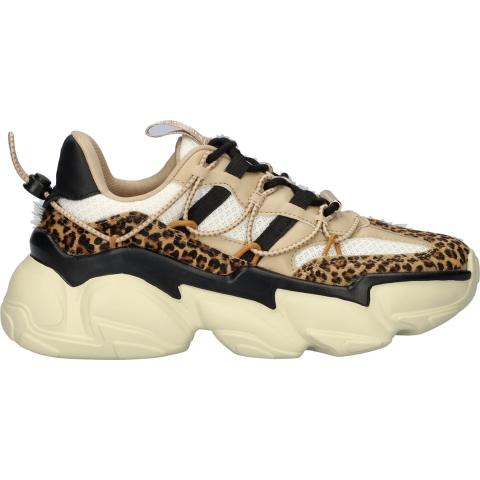 Steve Madden Dames sneakers spectator-l leopard multi