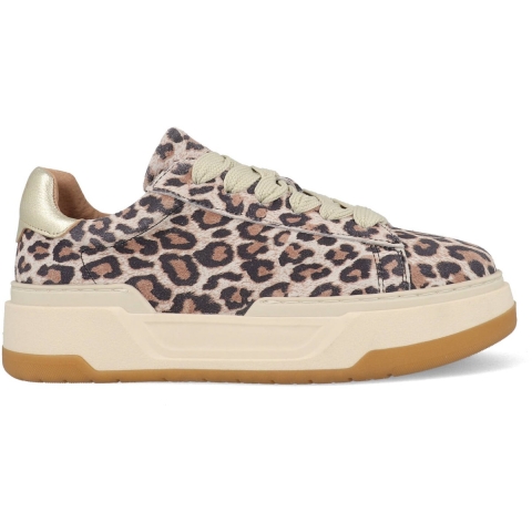 DWRS Label Lot leopard b11472-02-7208 champagne rosé /