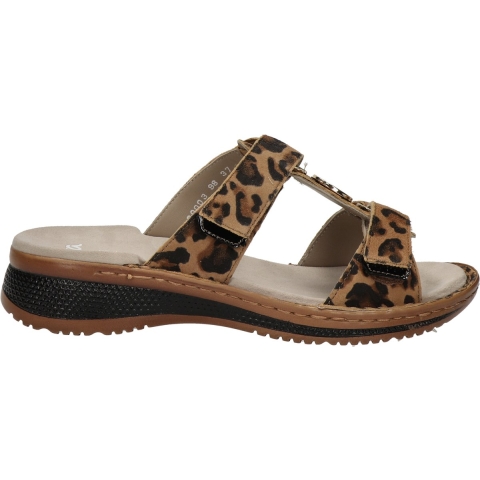 Ara 1229003 hawaii leo 3033