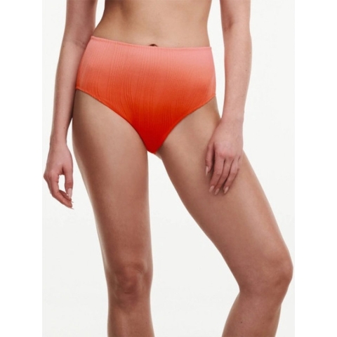 Chantelle Swim full brief