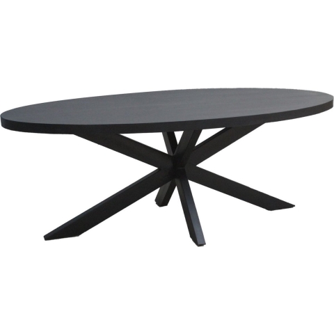 Livingfurn eetkamertafel kala oval spider 160cm mangohout / gecoat staal
