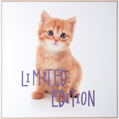 Present Time wall art kitten limited edition -