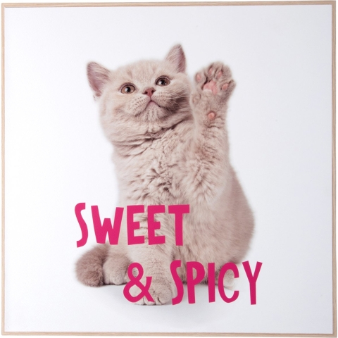 Present Time wall art kitten sweet & spicy -