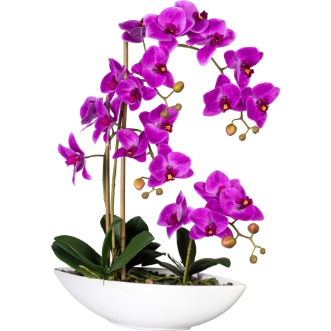 Kopu ® kunstbloem orchidee 60 cm met schaal ovaal phalaenopsis