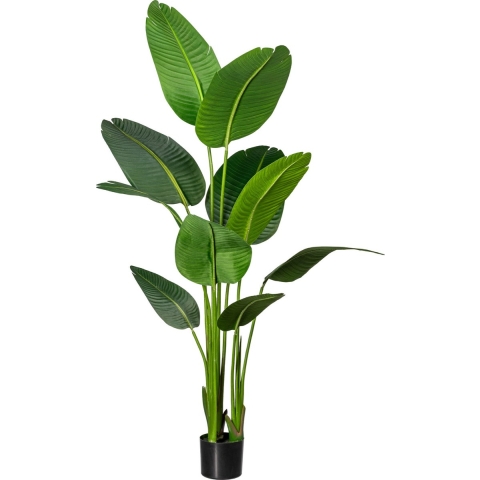 Kopu ® kunstplant strelitzia nicolai 160 cm paradijsvogelplant 10 blad