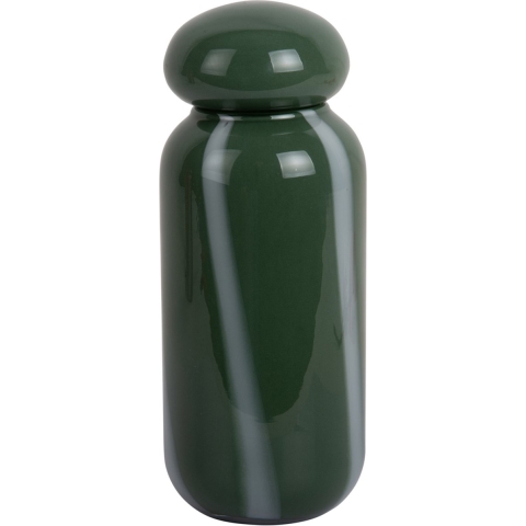 Present Time vaas dulce raya jungle