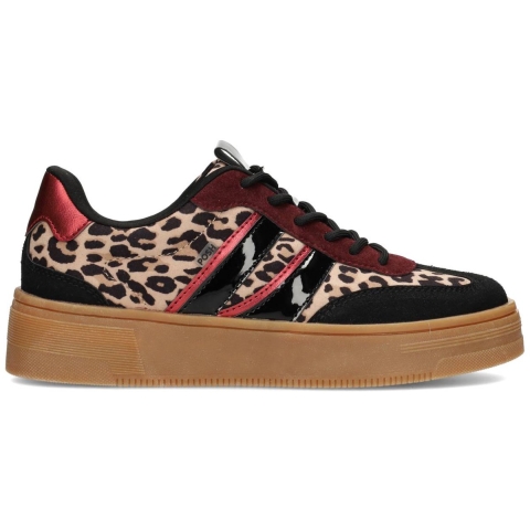 Poelman C1152148apsh3 lily