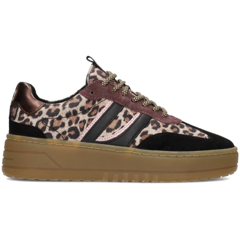 PS Poelman Anemone lpanemone-49poe1 / bruin