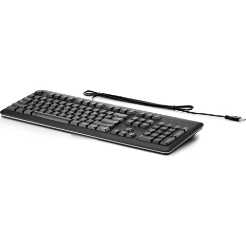 HP USB Keyboard (Qwertz DE)