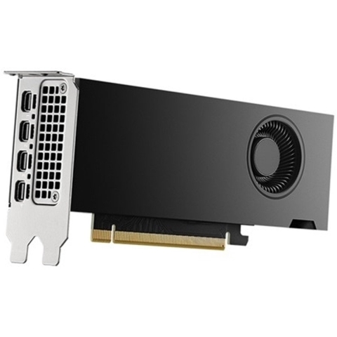 Dell NVIDIA RTX 2000 Ada Generation 16 G